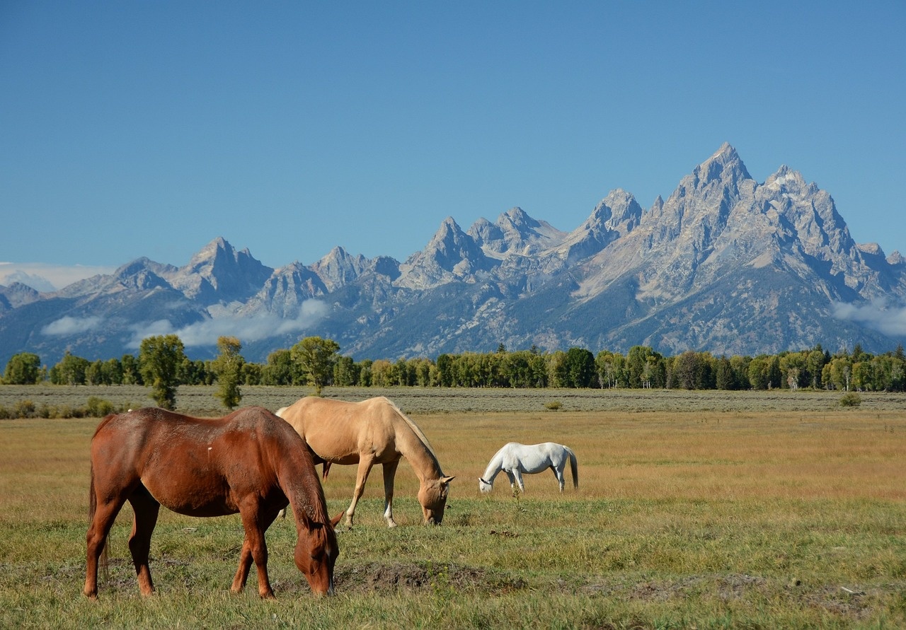 tourhub | Tours of Distinction | National Parks of America's West 