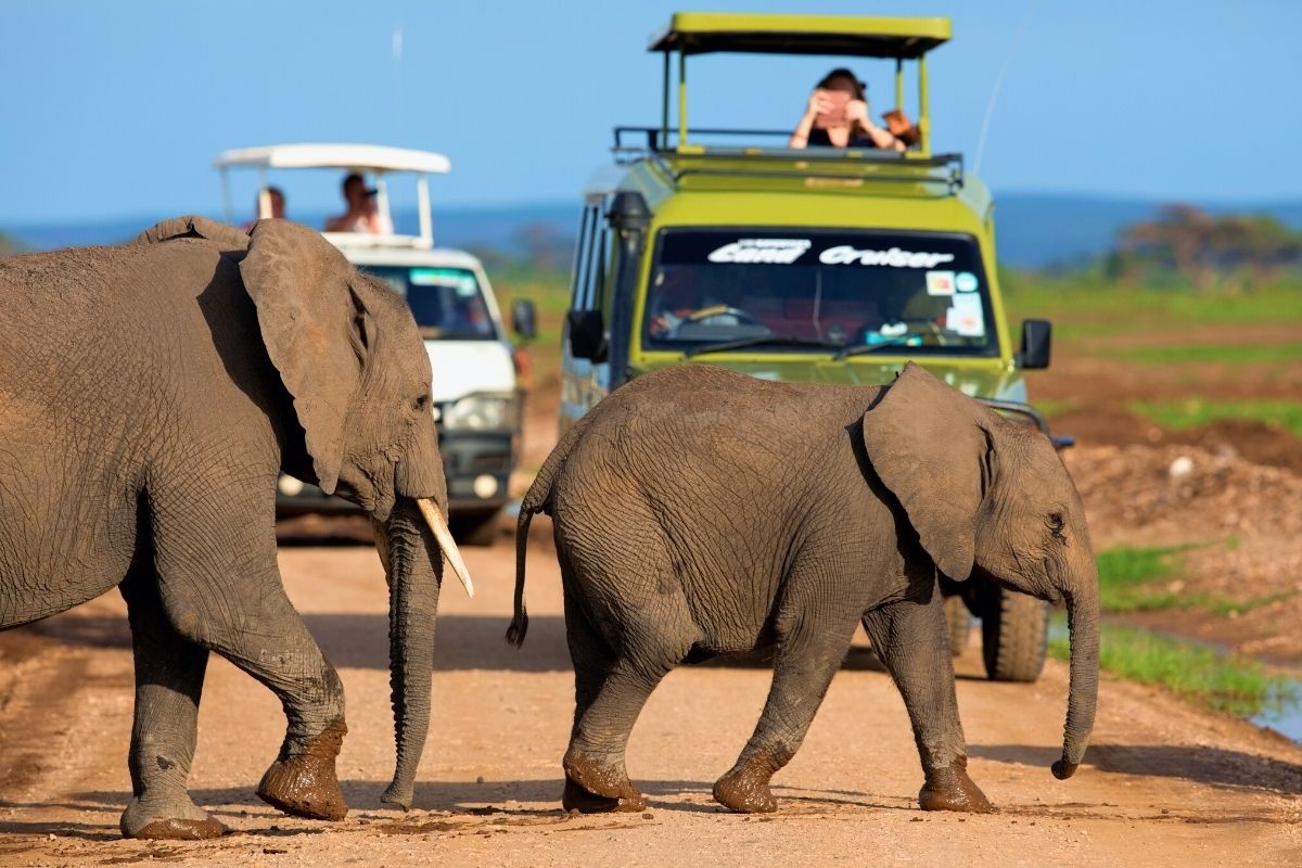 tourhub | Gracepatt Ecotours Kenya | From Nairobi: 2 Days Amboseli National Park Safari Package 