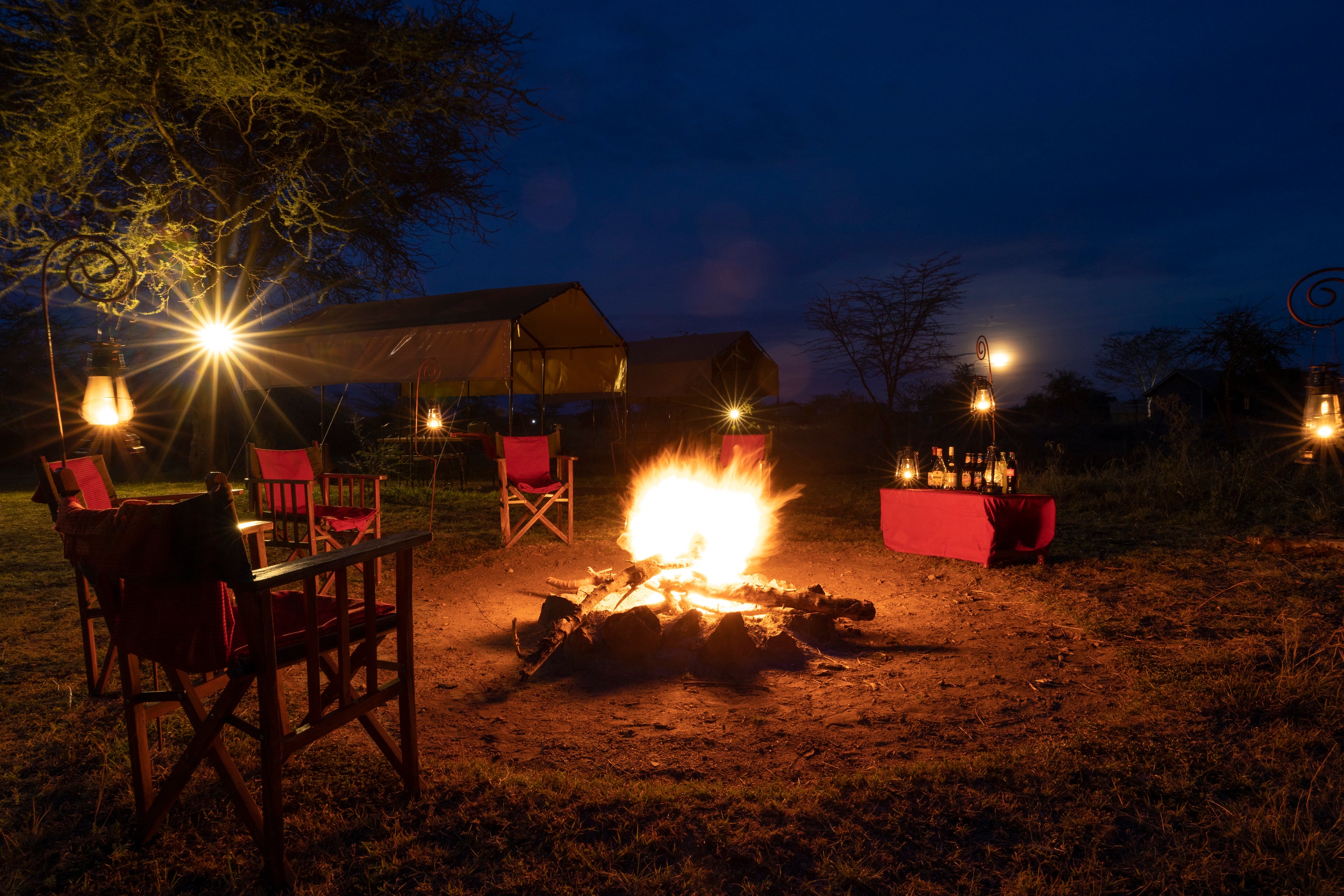 tourhub | Beach and Safari Holidays | Serengeti N.P.: 2 Full-Day Game Drives + Walking Safari + Night Drive 