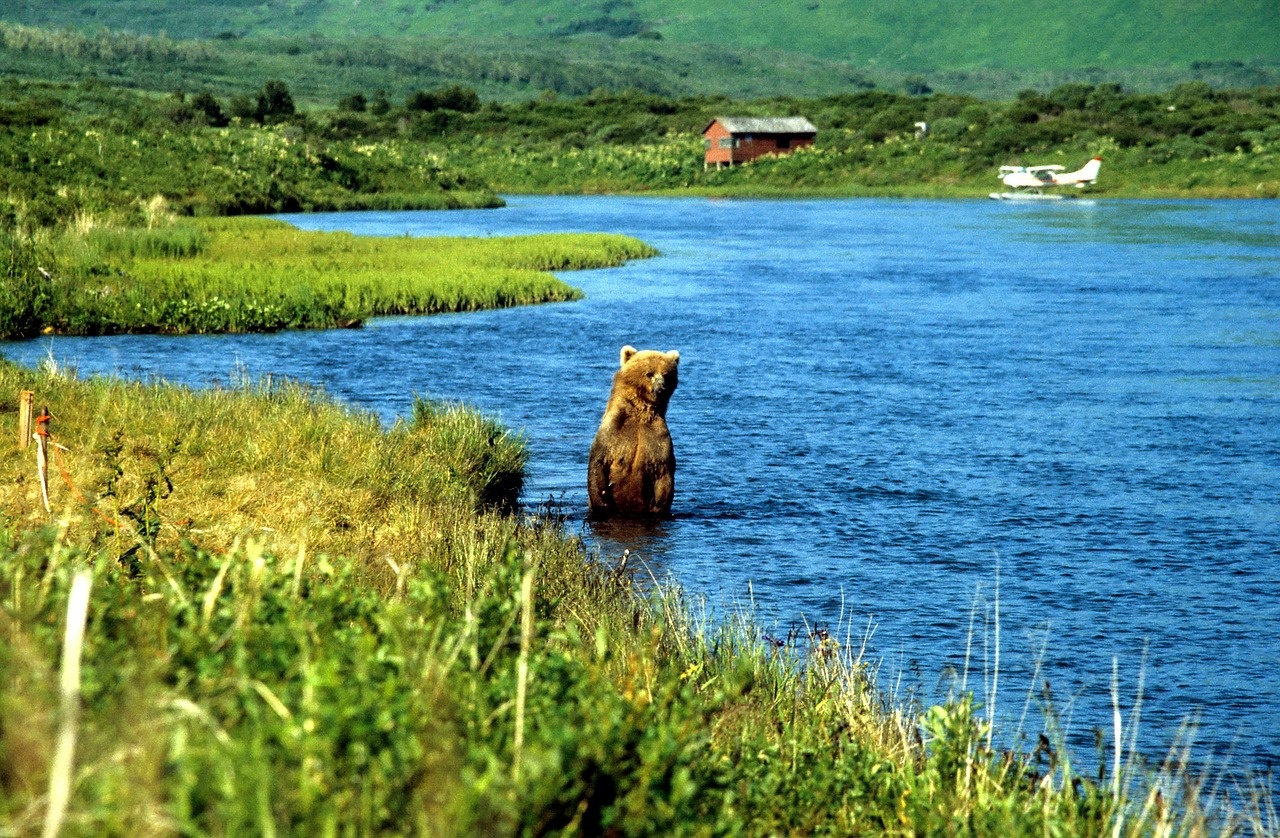 tourhub | Tours of Distinction | Discover Alaska by Land & Cruise 