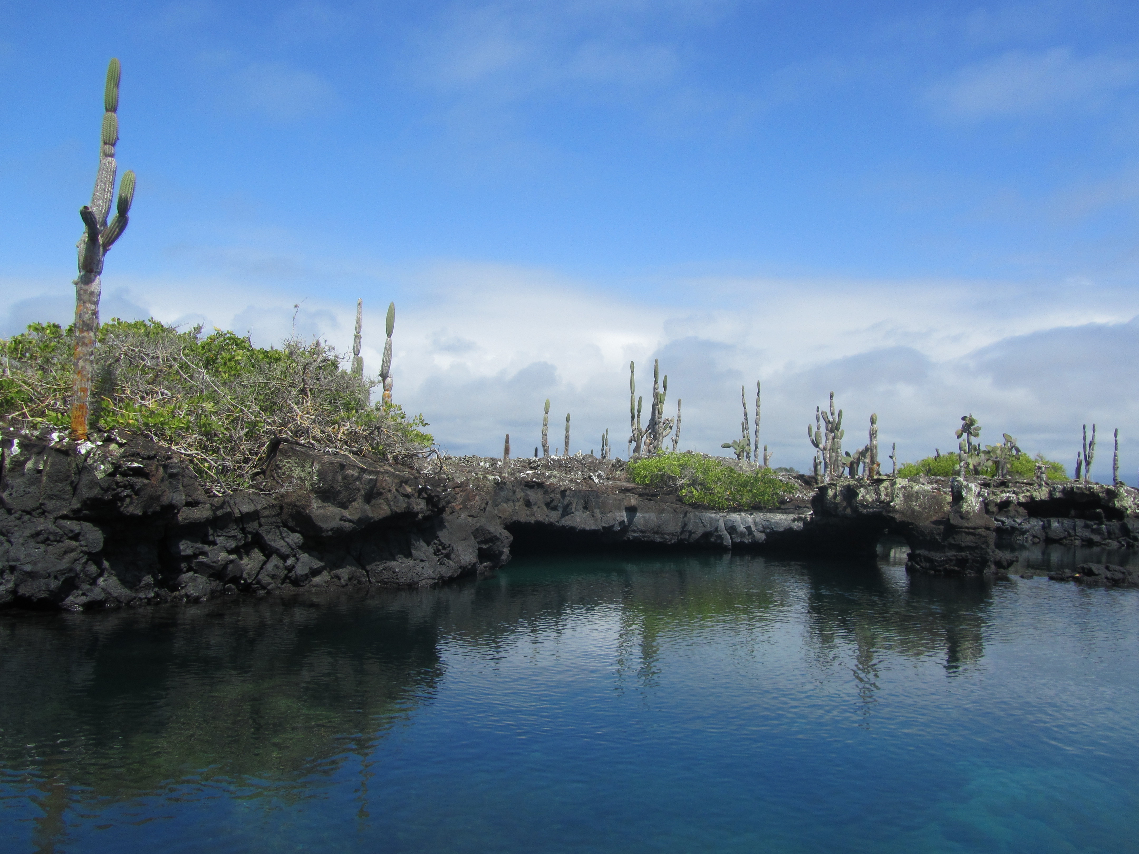 tourhub | Ecuador Galapagos Travels | 8 Days Galapagos Island Hopping in Santa Cruz and Isabela 