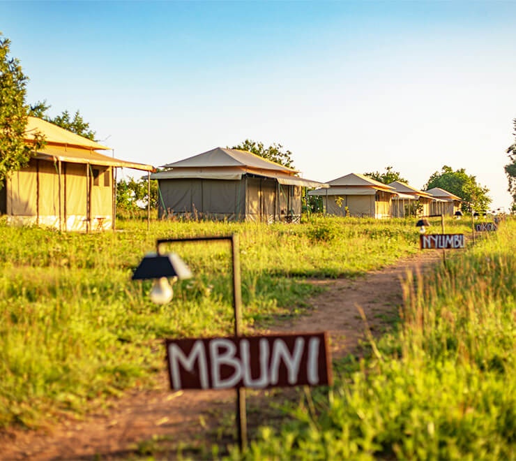 tourhub | Gundua Africa Adventures | 4 Days Joining Camping Safari in Tarangire, Serengeti and Ngorongoro 