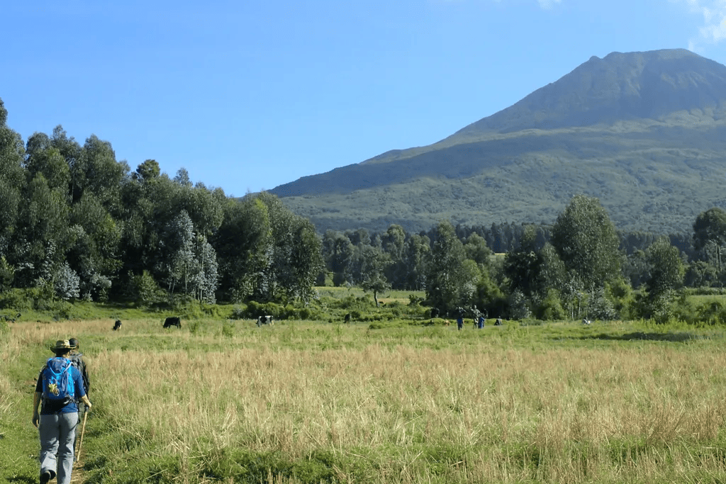 tourhub | Kingfisher Journeys | 3 Days Volcanoes & Lake Kivu Adventures 