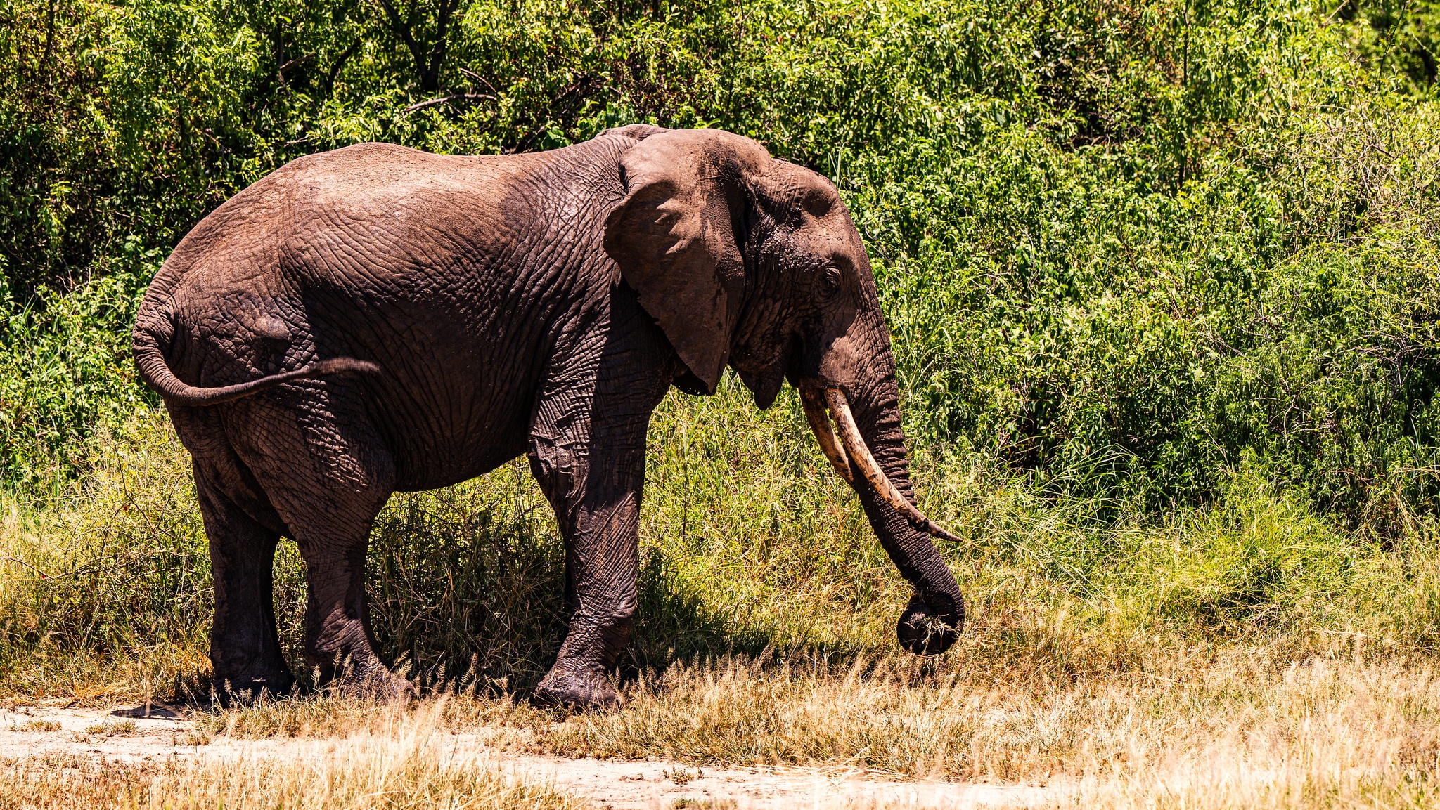 tourhub | Beach and Safari Holidays | Safari Through Tarangire and Lake Manyara 