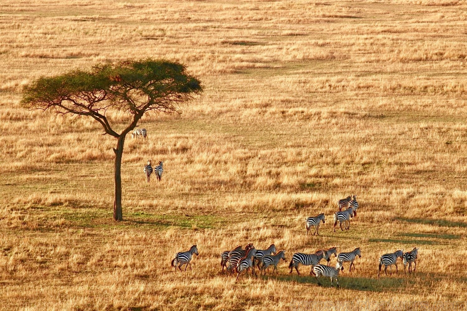 tourhub | Across Africa Tours Travel | Tanzania and Kenya Safari for Seniors 10Days/9Nights 