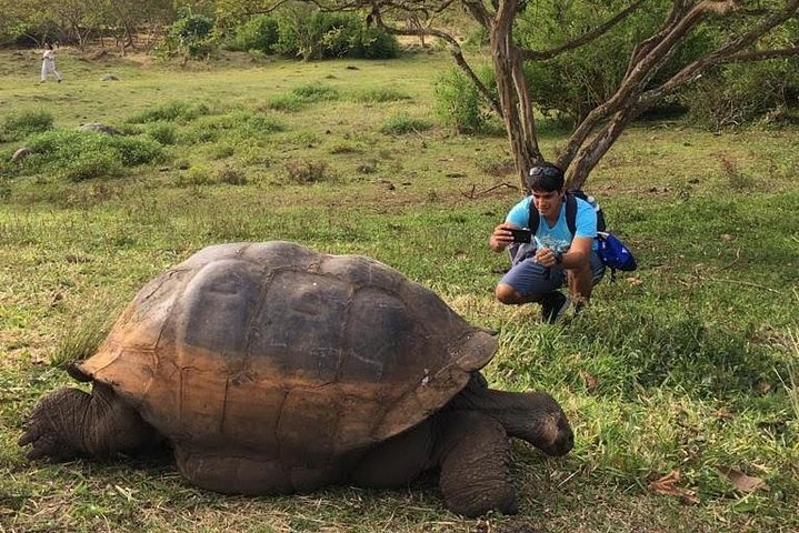 tourhub | Latin Adventures | Machu Picchu & Galápagos Islands essentials 