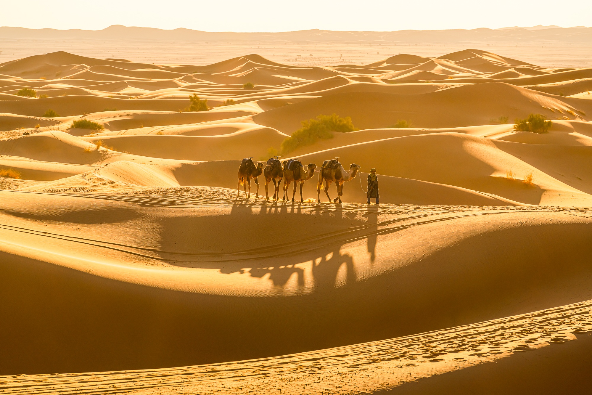 tourhub | Marrakesh Journeys | 5 Days Desert Exploration (From Marrakesh) 