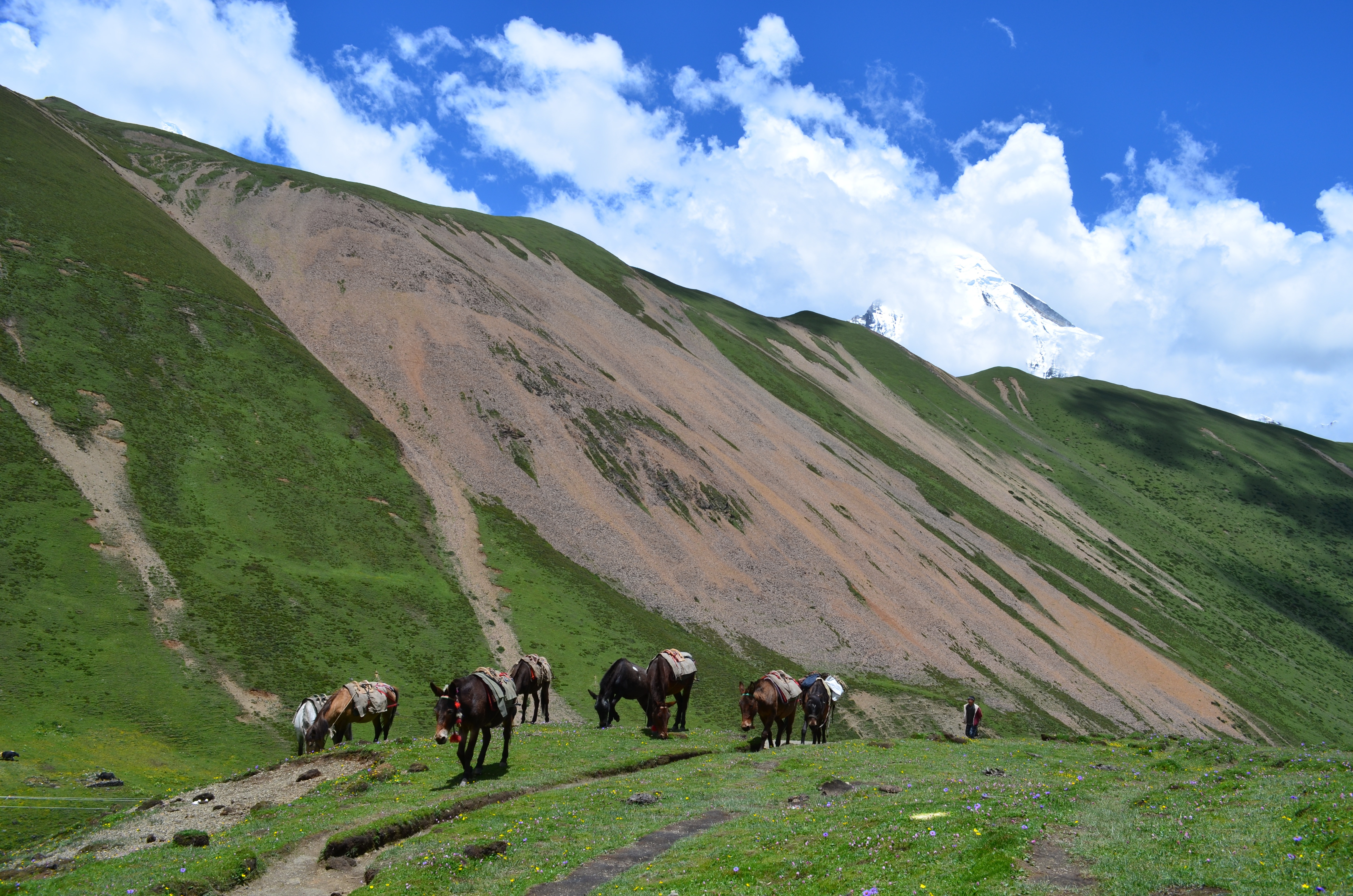 tourhub | World Tour Plan | Laya Gasa Trek 