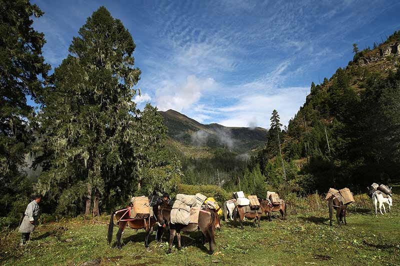 tourhub | Bhutan Acorn Tours & Travel | A Cultural Journey With Nature Trek in Central Bhutan |  71355P15