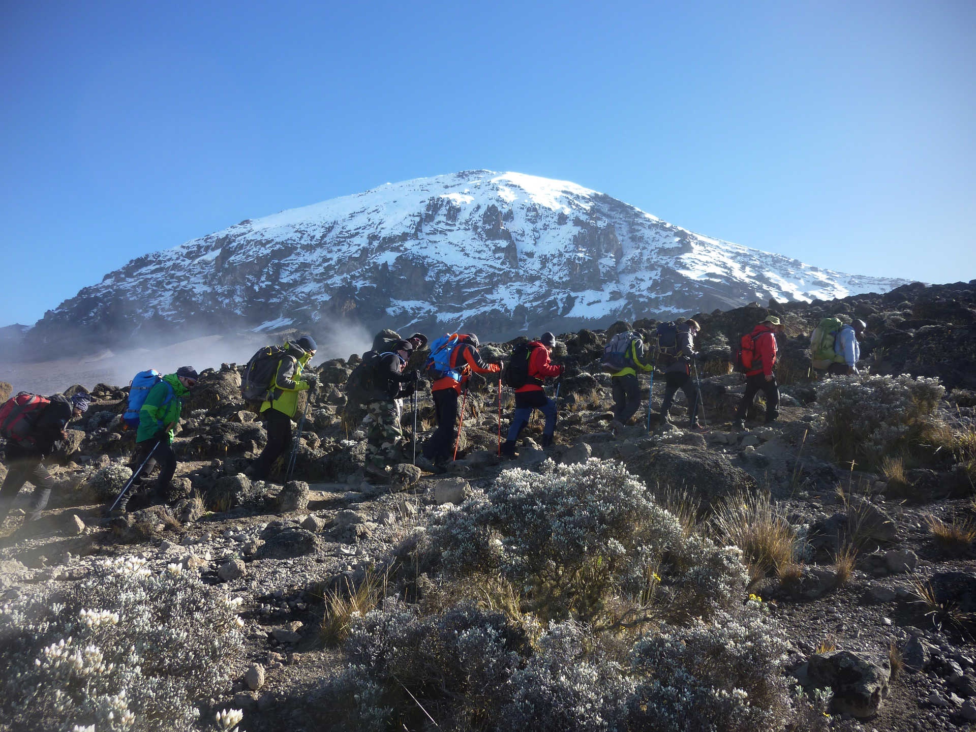 tourhub | Kilimanjaro Habitat Safaris | 8 Days Kilimanjaro Climb Lemosho Route 