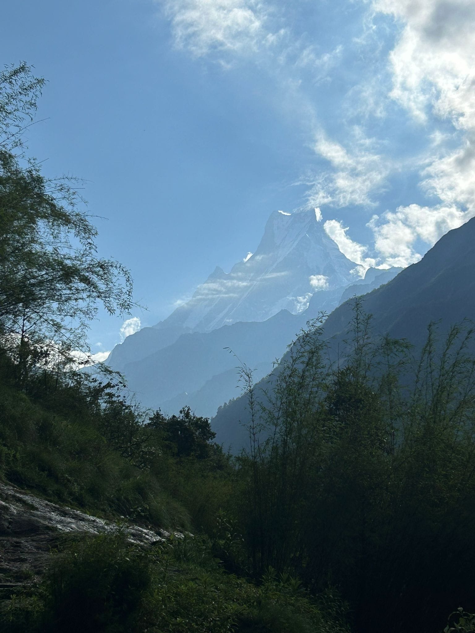 tourhub | Cordial Trek Pvt. Ltd | Annapurna Base Camp (ABC) Five Days Trek from Pokhara 