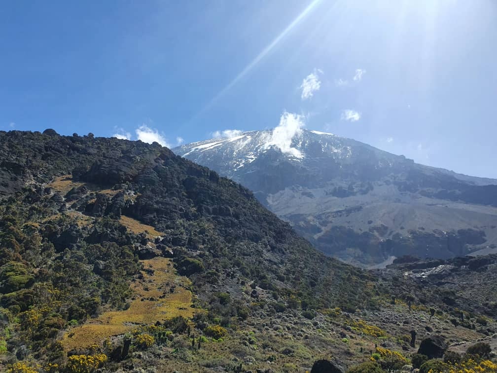 tourhub | Horizon Seeker Adventure | 7 days Kilimanjaro Climbing Lemosho route 