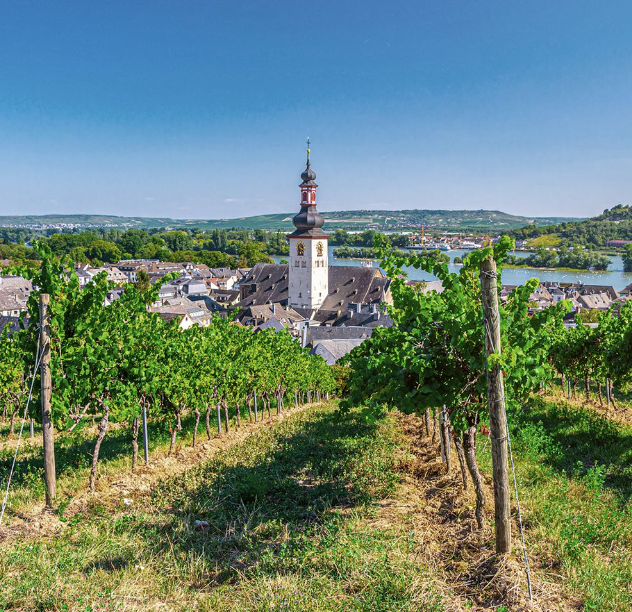 tourhub | Avalon Waterways | The Rhine & Moselle: Canals, Vineyards & Castles with 2 nights in Paris (Imagery II) 