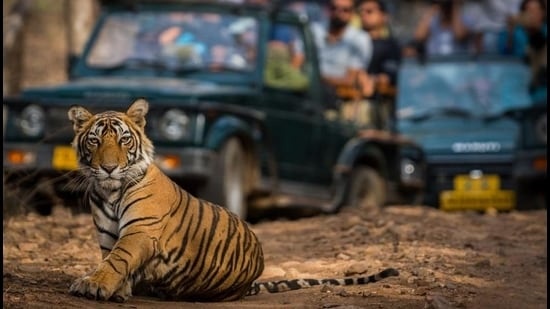 tourhub | Taj Voyages Tours | 05 Days Golden Triangle Tour with Ranthambore Jungle safari 