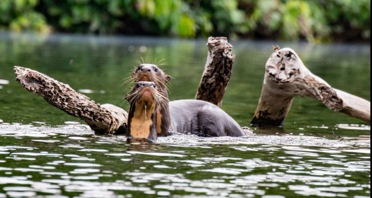 tourhub | Ecuador Galapagos Travels | 8 Days Cuyabeno Wildlife Reserve and Middle of the World Discovery 