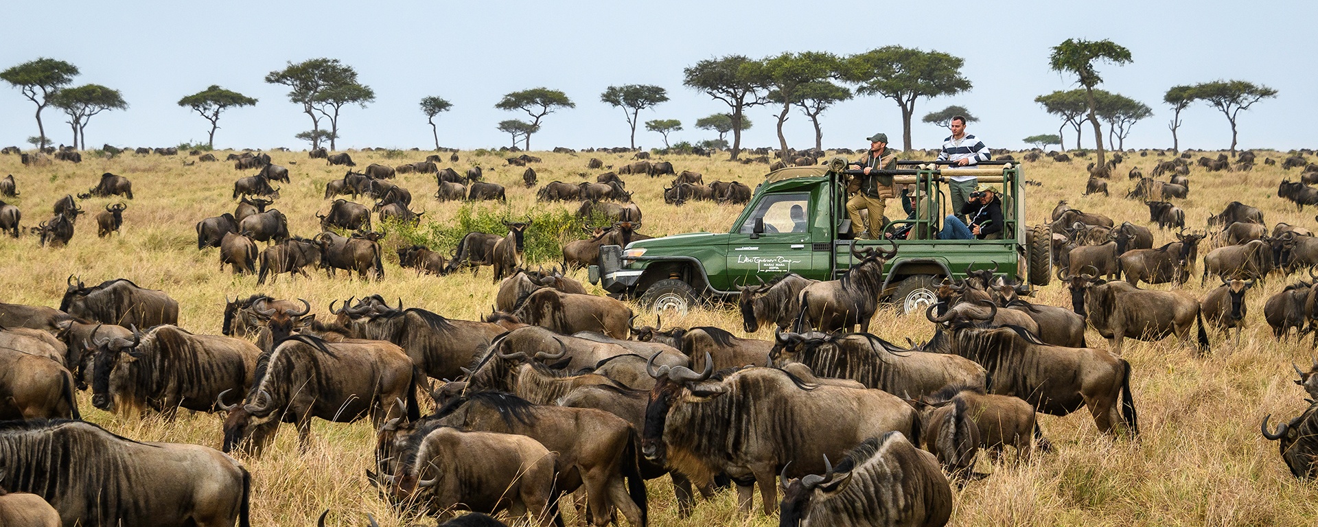 tourhub | Jossec Tours and Safaris | 6 DAYS AMBOSELI NATIONAL PARK, LAKE NAIVASHA  ATTRACTIONS, LAKE NAKURU NATIONAL PARK & MASAI MARA GAME RESERVE SAFARI 