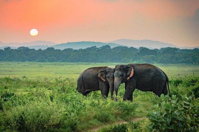 tourhub | Explore Vacations | Explore Sri Lanka 