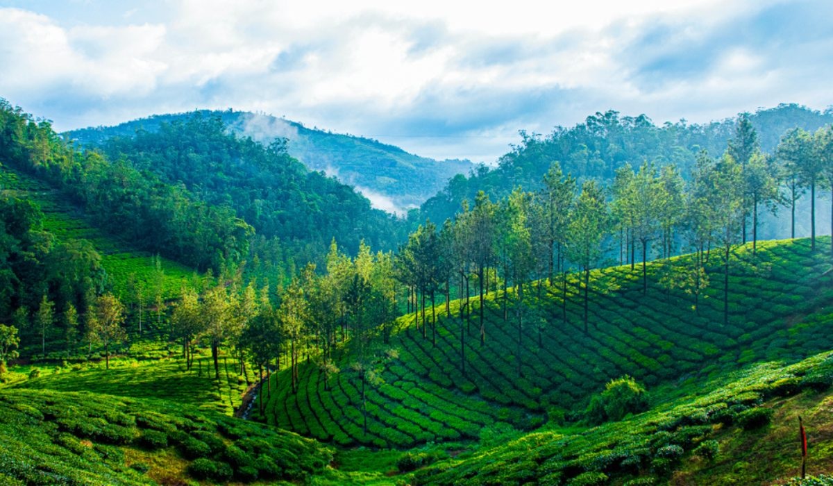 tourhub | Offbeat India Tours | Enchanting Kerala Tour: God’s Own Country 