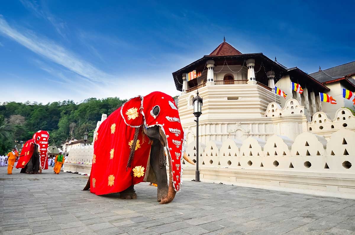 tourhub | Explore Vacations | Exclusive Honeymoon Days in Sri Lanka 