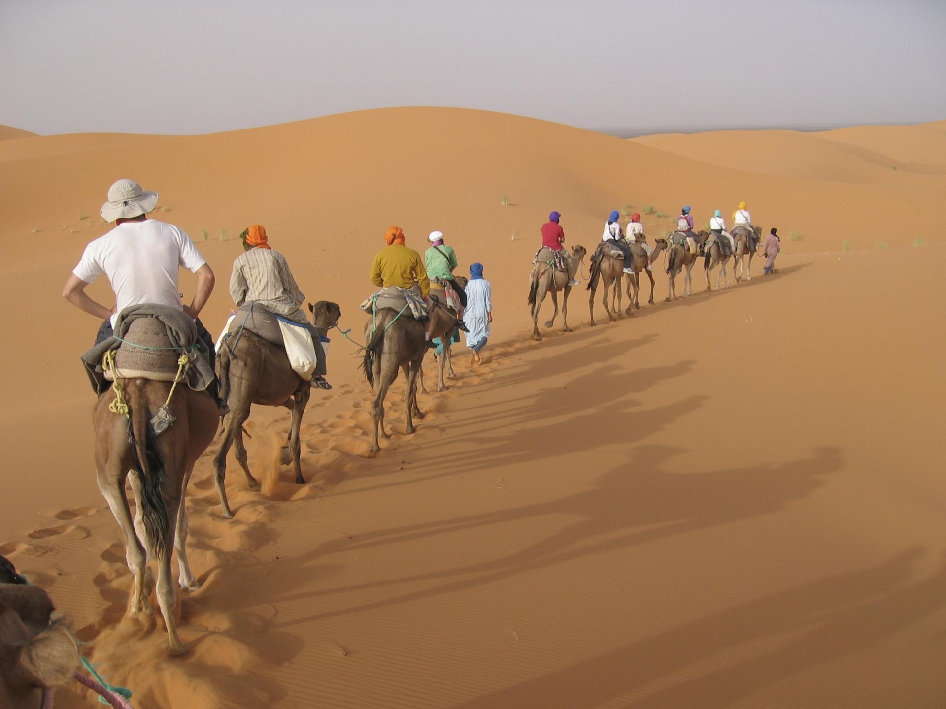 tourhub | Tilila Travel | Best of Morocco Tour from Casablanca | Morocco 15 Days
