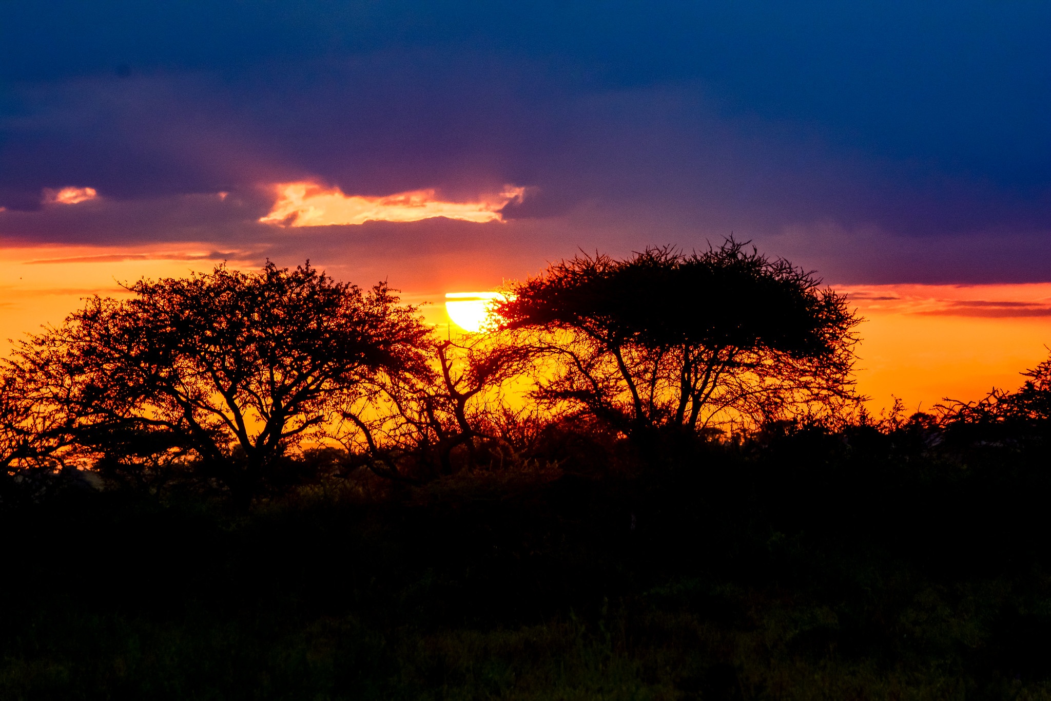 tourhub | Beach and Safari Holidays | Serengeti Inside Out 