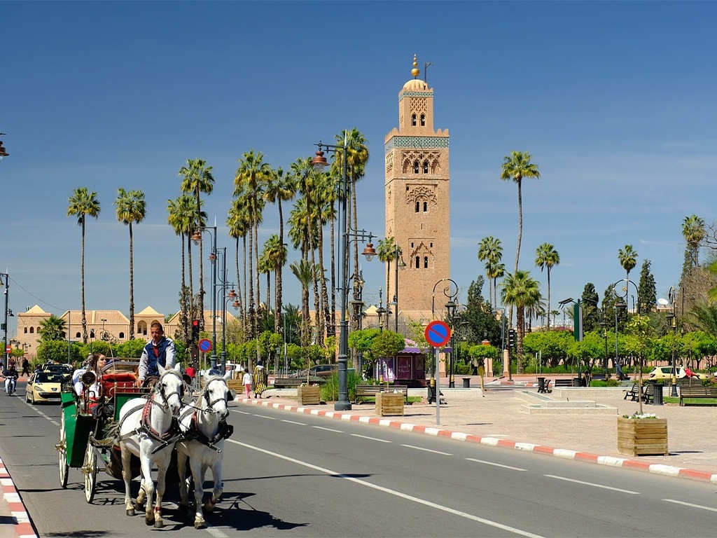 tourhub | Morocco Premium Tours | Moroccan Express: A 3-Day Adventure from Casablanca to Marrakech via Rabat, Fes, Volubilis, and Meknes. 