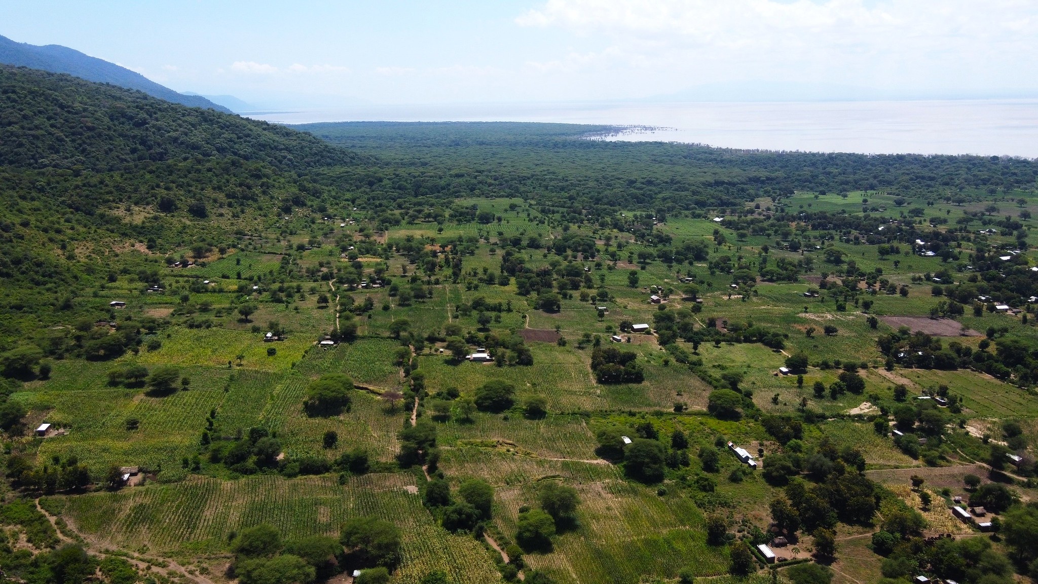 tourhub | Beach and Safari Holidays | Safari Through Tarangire and Lake Manyara 