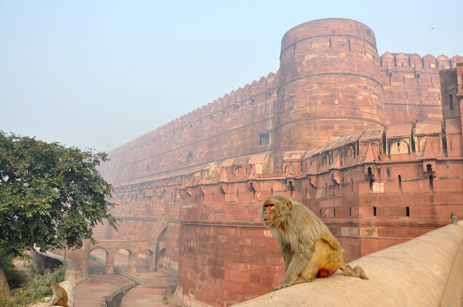 tourhub | Seven Wonder Tour and Travels | Jewels of India: Agra & Jaipur Expedition 