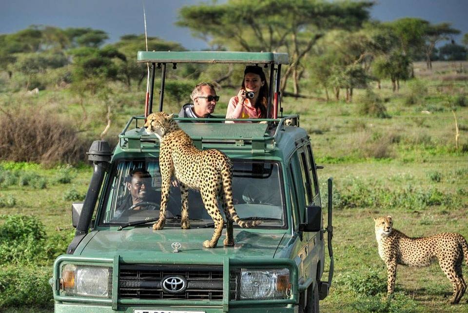 tourhub | Widerange African Safaris | 2 Days Tanzania sharing budget, camping, private luxury safari, mid-range lodge safari & small group tours | Tour Map