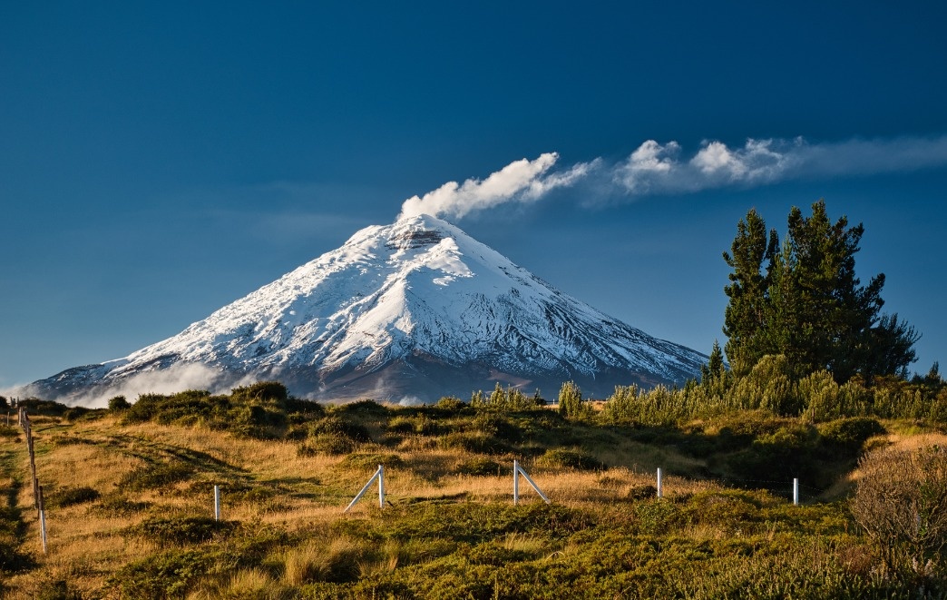 tourhub | Ecuador Galapagos Travels | 8 Days Cuyabeno Wildlife Reserve and Middle of the World Discovery 