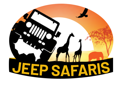 Jeep Safaris & Tours