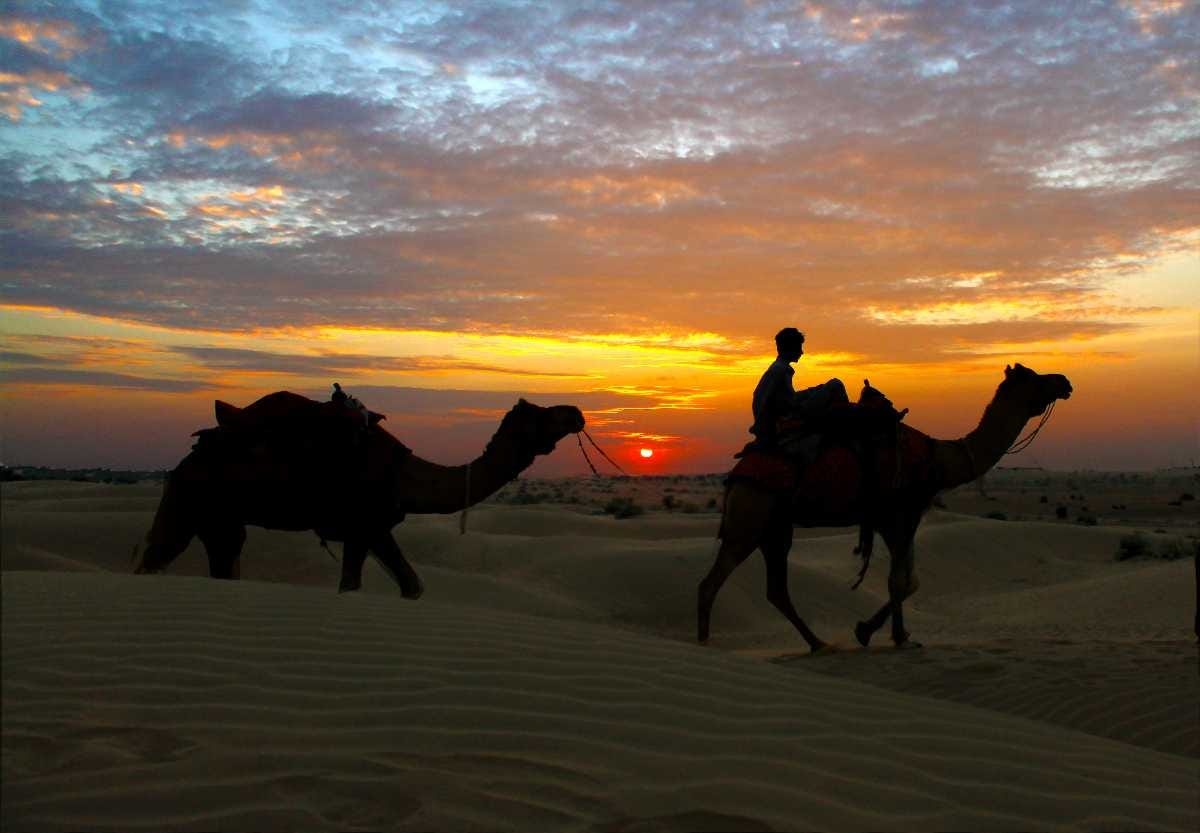 tourhub | Offbeat India Tours | Camels and Colors Rajasthan Tour with Fair 