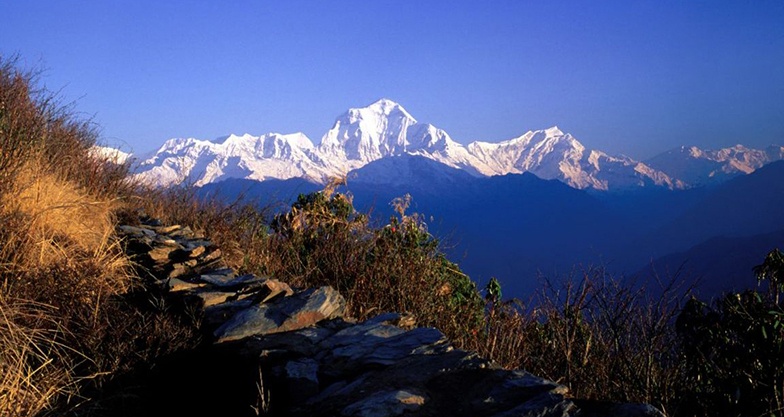 tourhub | Sherpa Expedition & Trekking | Annapurna Sanctuary Trek | 
