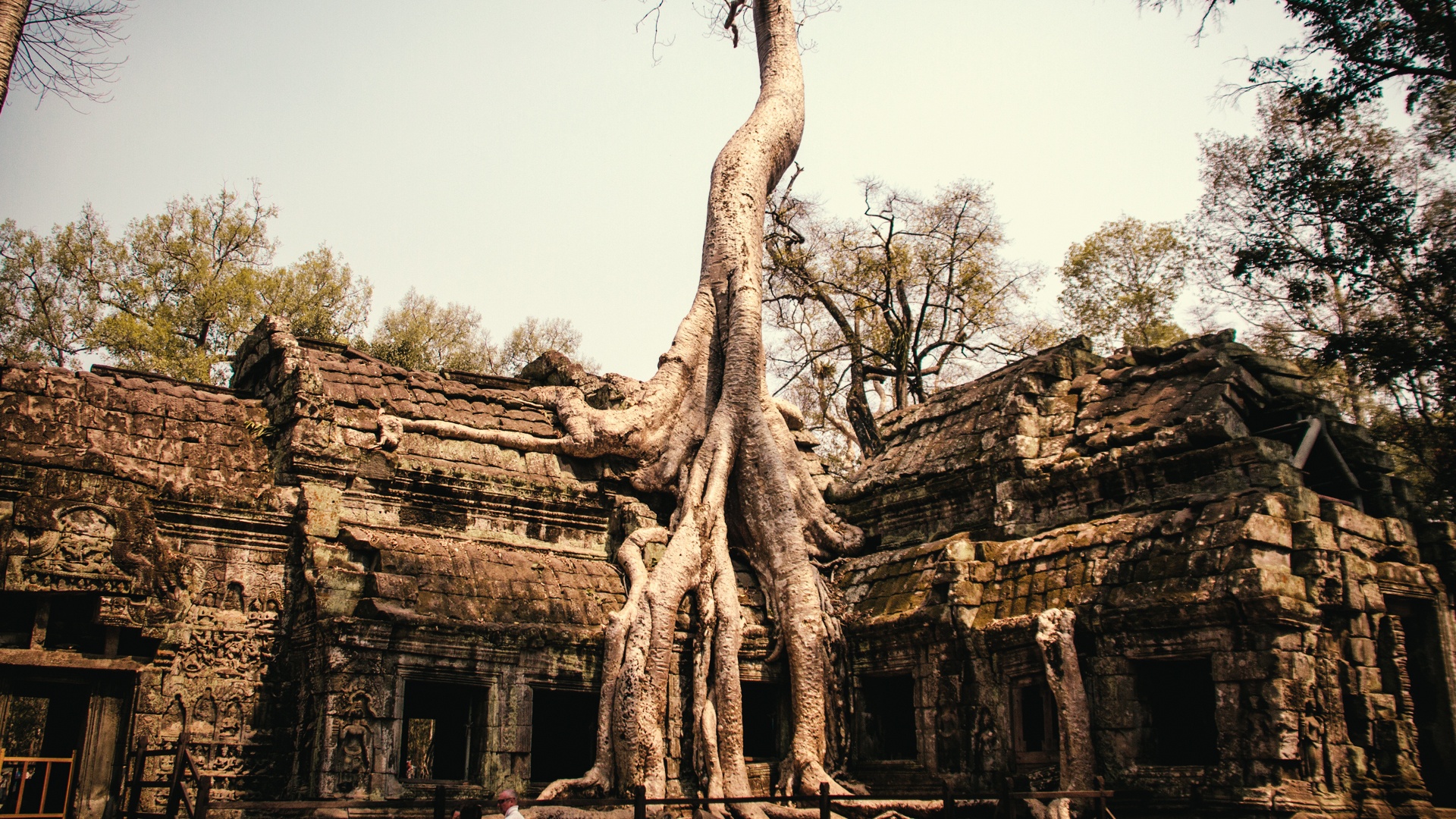 tourhub | Bonzer Tour | Cambodia History and Culture 10 days 9 nights 