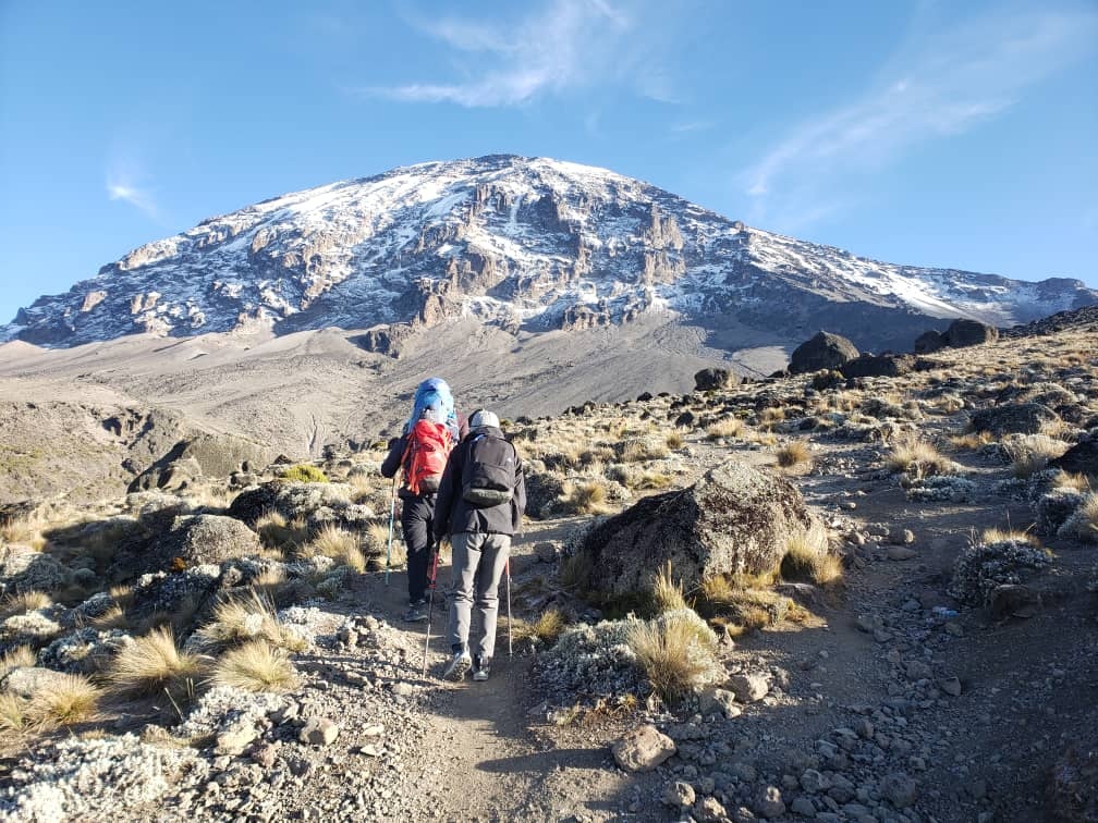 tourhub | Horizon Seeker Adventure | 11 days Kilimanjaro Climbing Northern Circuit route 