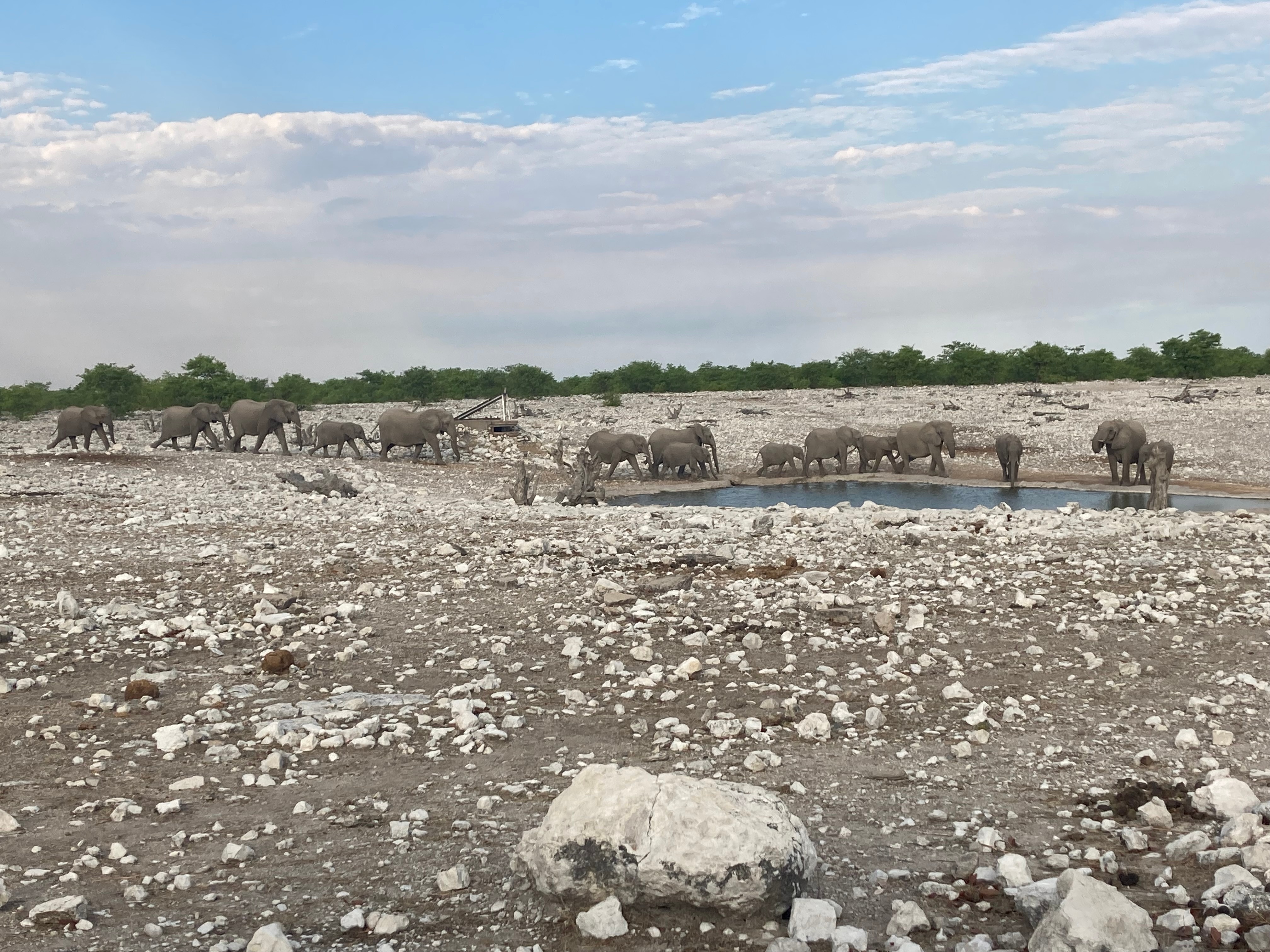 tourhub | Global Dream Travel | Safari: In and Around the Heart of Namibia 