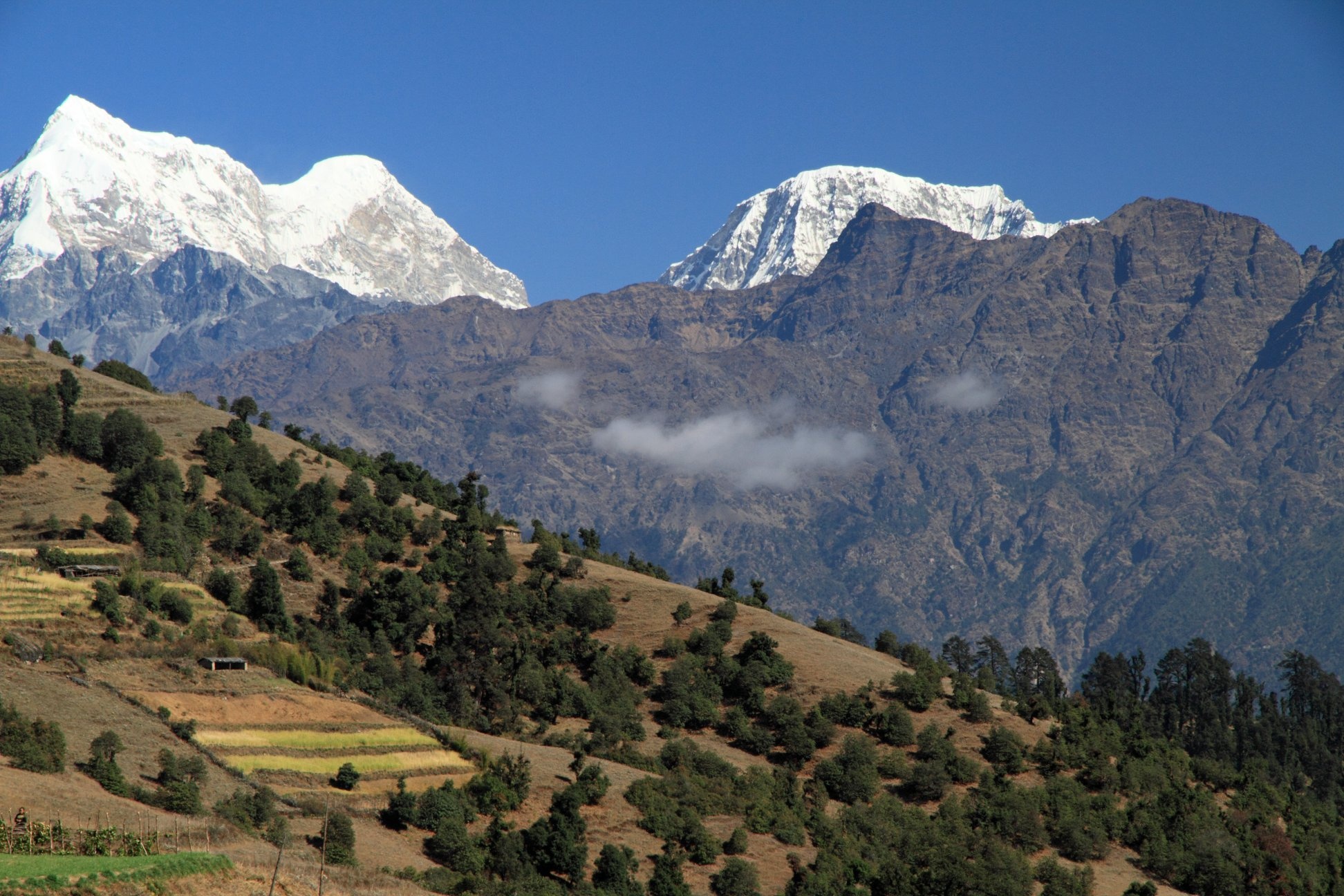 tourhub | Trek Central Pvt Ltd | Pikey Peak Trek 