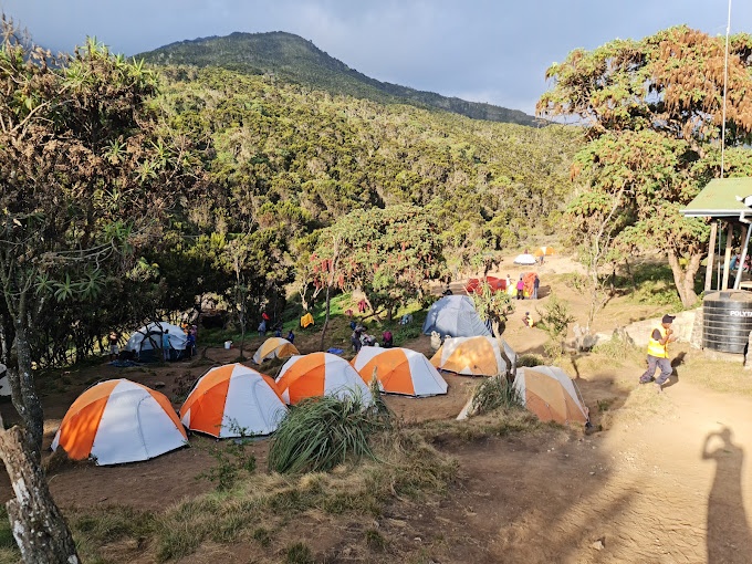 tourhub | Kilimanjaro Habitat Safaris | 7 Days Kilimanjaro Climb Machame Route 