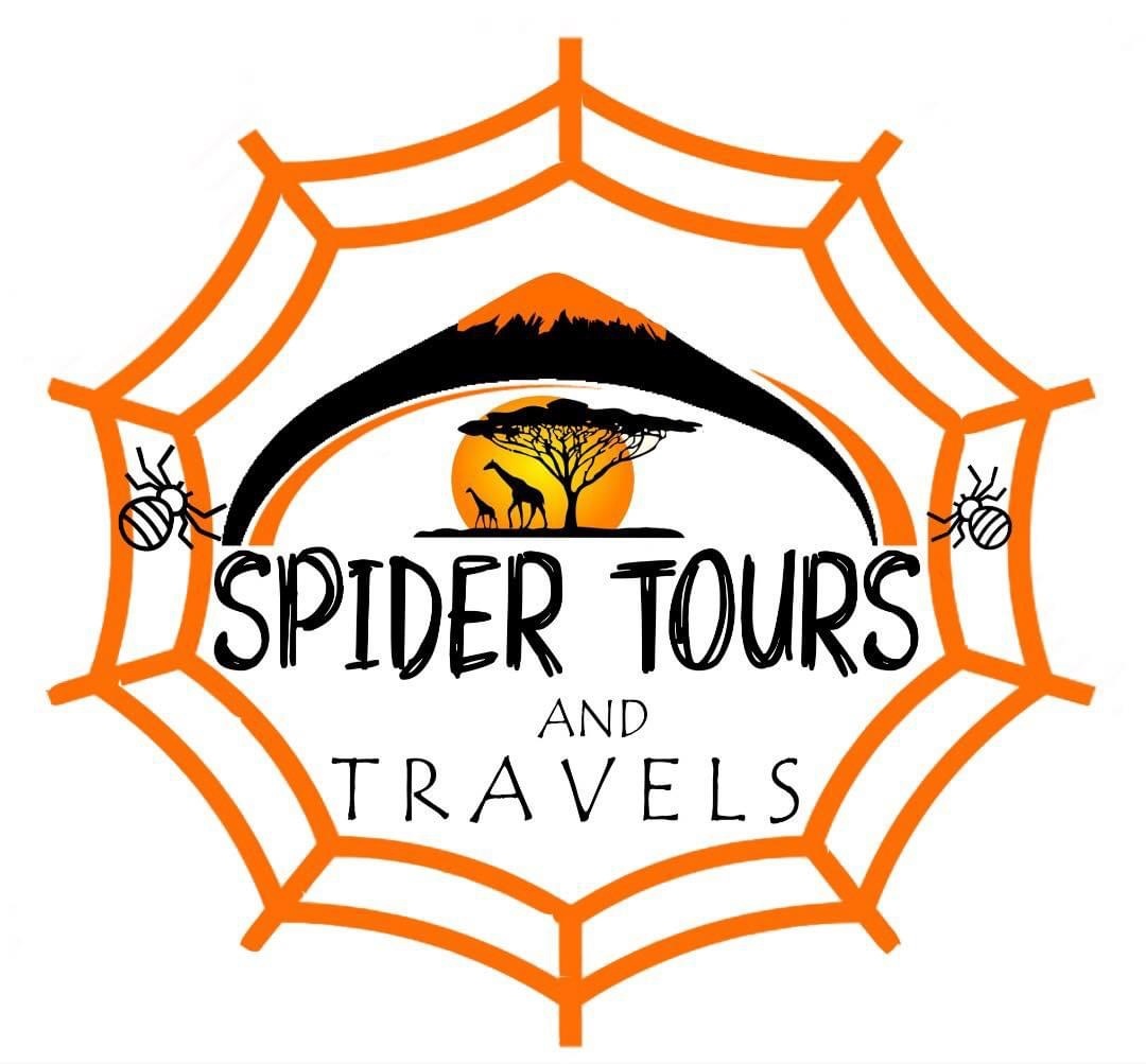 Spider Tours And Safaris logo