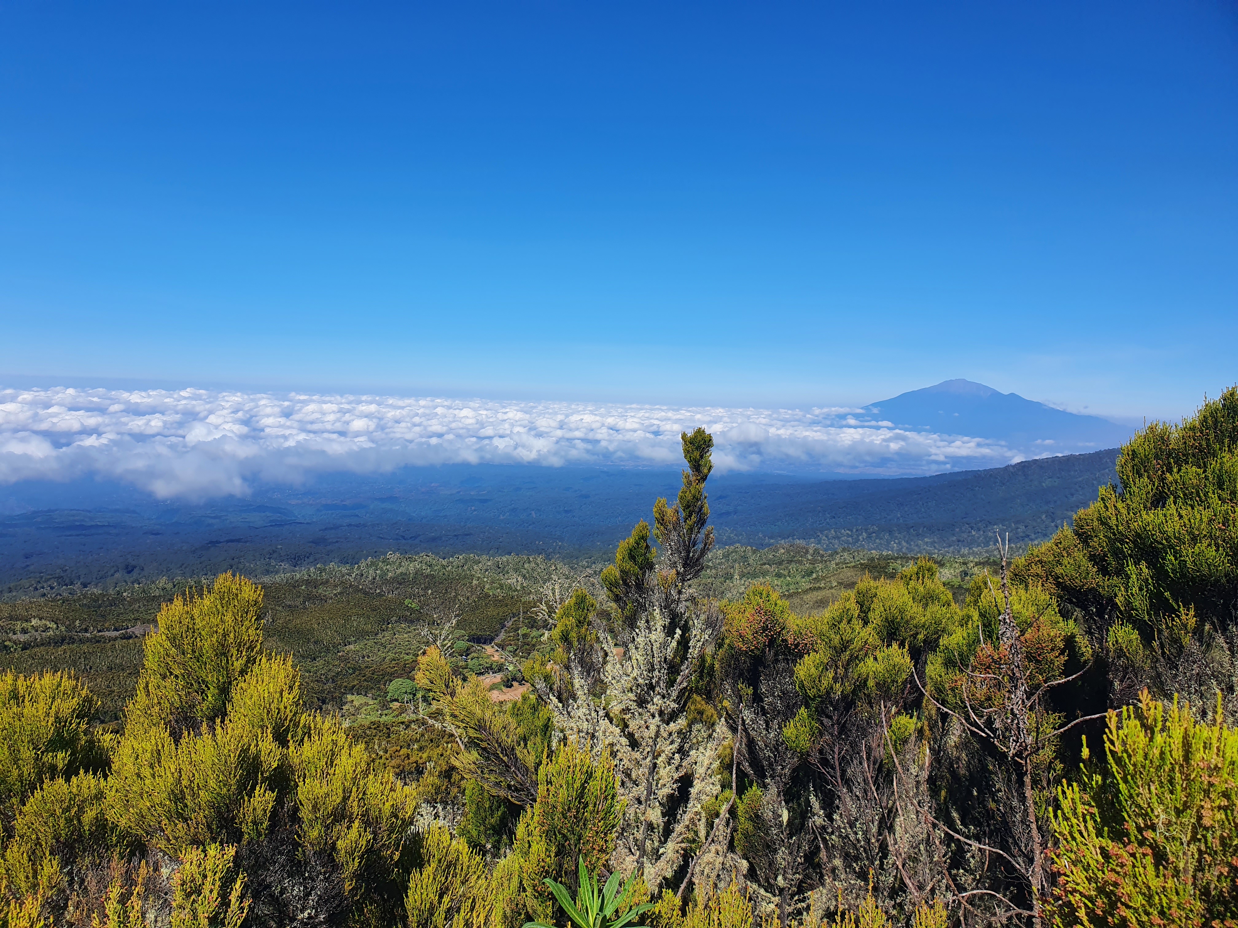 tourhub | Razan Safaris | Best 6 days Kilimanjaro Climbing Machame route 