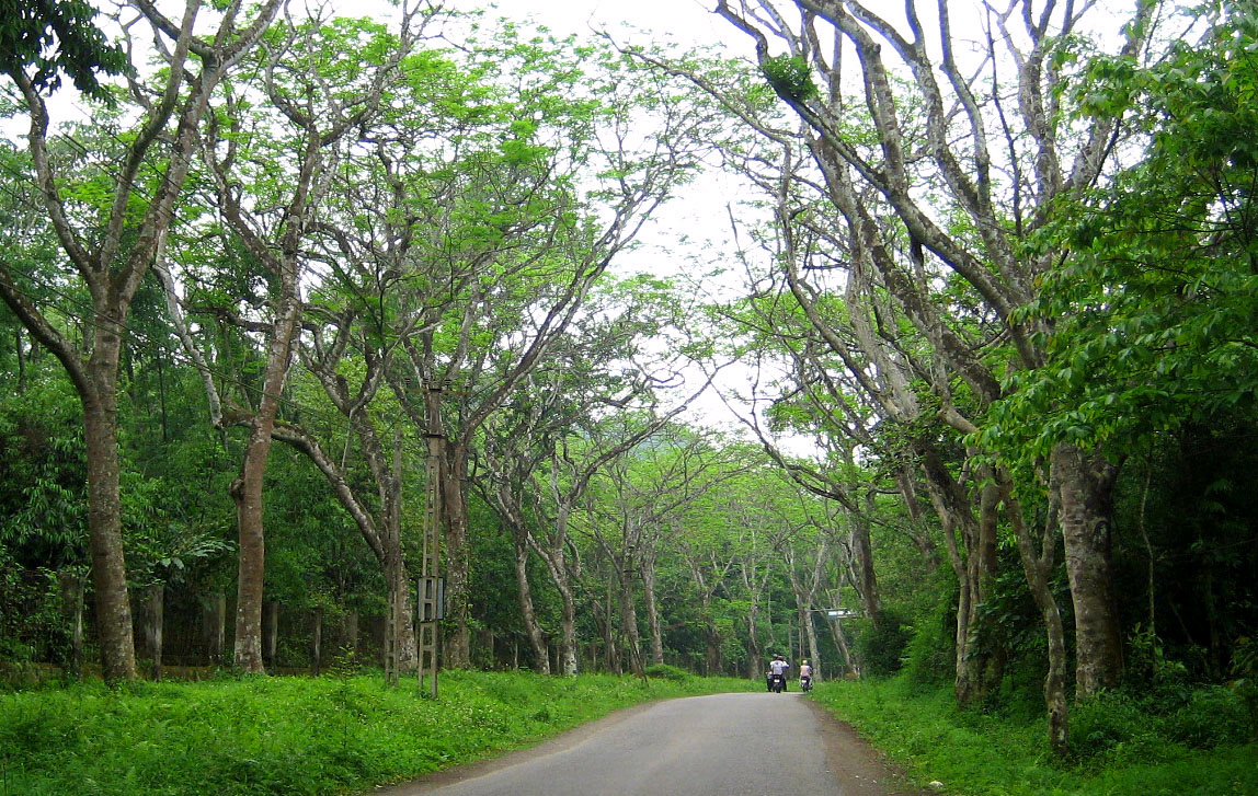 tourhub | Bonzer Tour | Cycling in the Northern Vietnam 