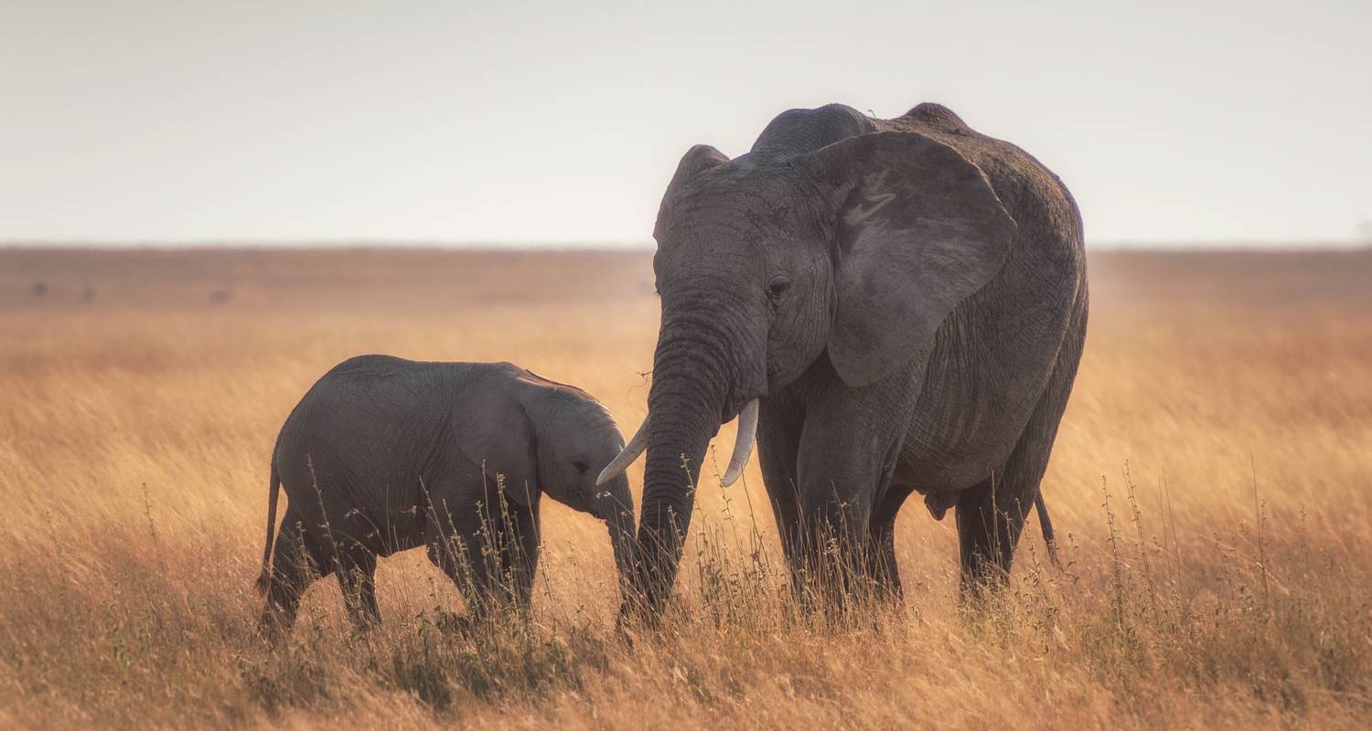 tourhub | Mbega African Safaris | 3 Days Luxury Lodge 