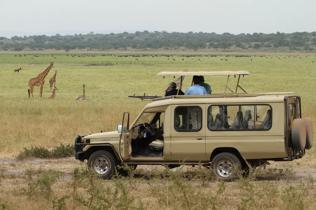 tourhub | Kingfisher Journeys | 2 Days Akagera Wildlife Safari Experience 