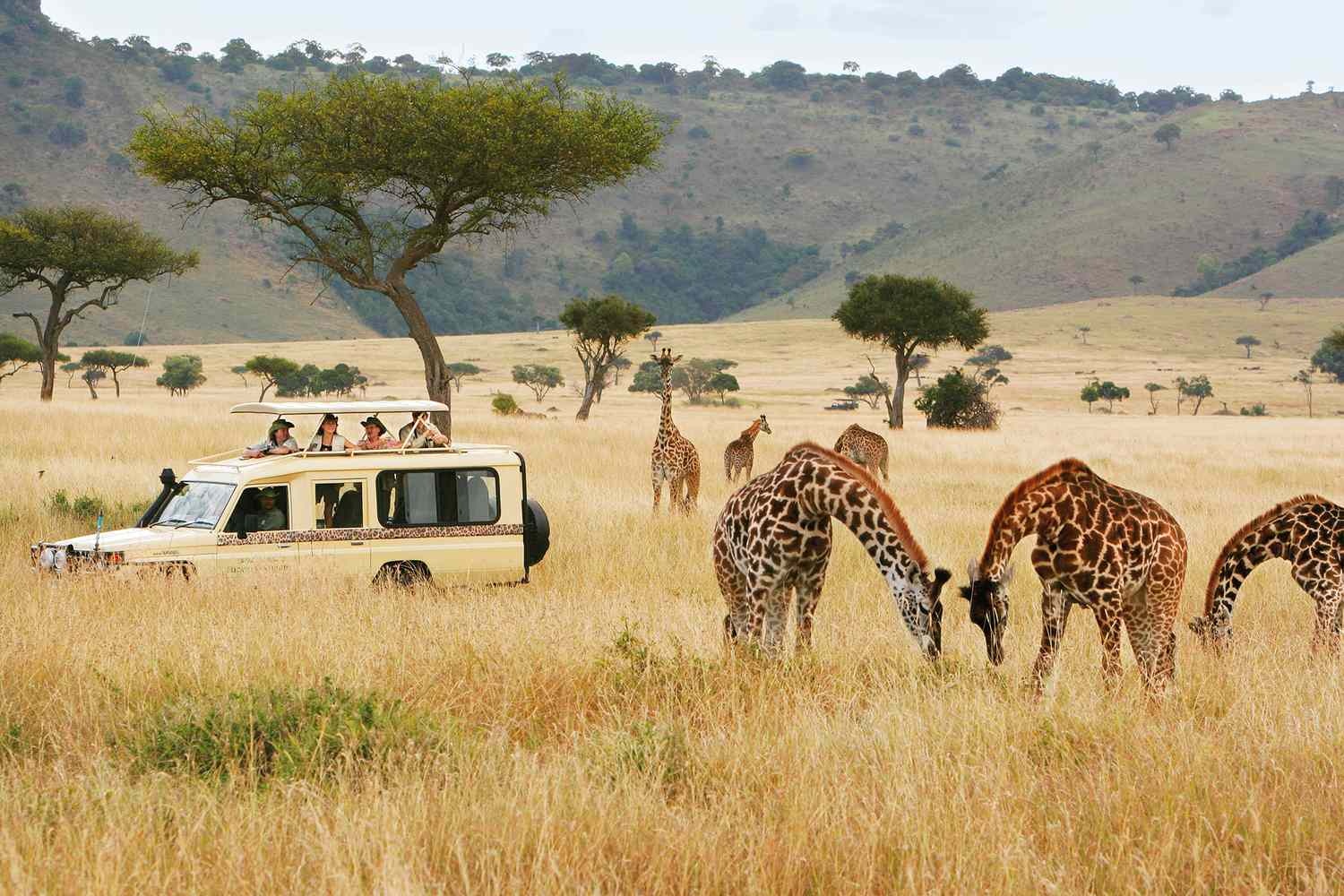 tourhub | Jossec Tours and Safaris | 6 DAYS AMBOSELI NATIONAL PARK, LAKE NAIVASHA  ATTRACTIONS, LAKE NAKURU NATIONAL PARK & MASAI MARA GAME RESERVE SAFARI 