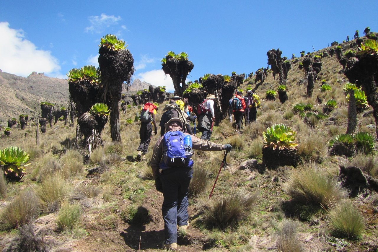 tourhub | Spider Tours And Safaris | 4 Days Mount Kenya Climbing Naromoru Route 