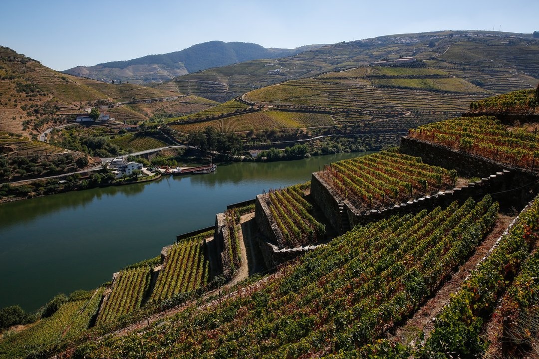 tourhub | Authentic Trails | Douro Wine Region - UNESCO World Heritage Valley 