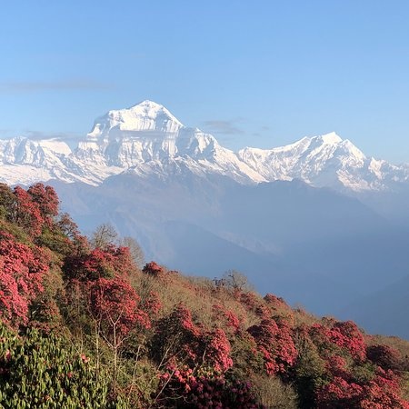 tourhub | Himalayan Sanctuary Adventure | Ghorepani Poon Hill Trek | Tour Map