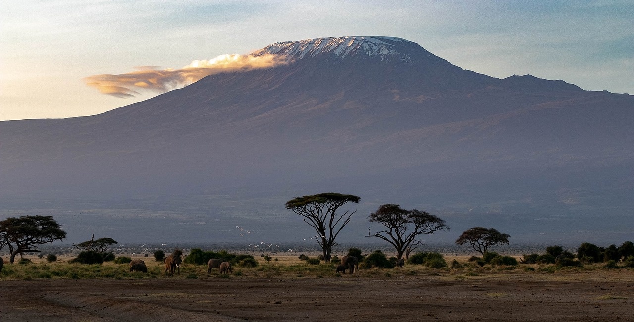 tourhub | Exodus Safaris | 11-Day Mid Range Kenya Wildlife Safari and Beach Experience 