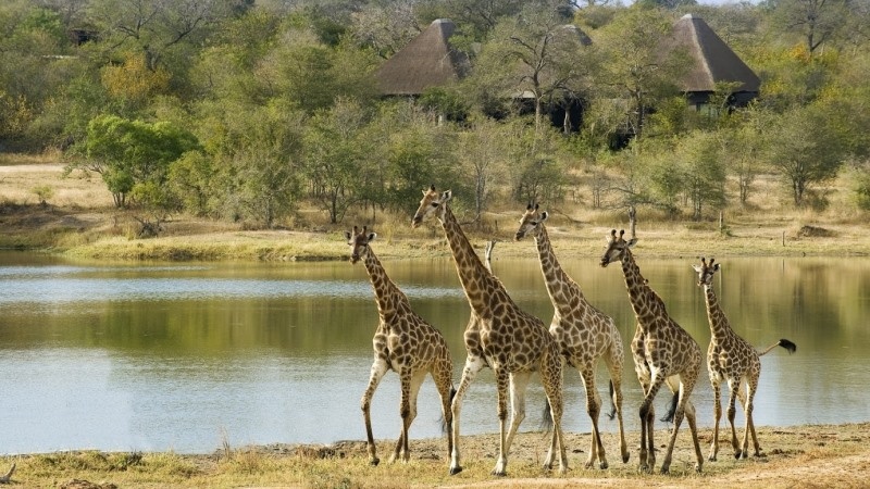 tourhub | Jossec Tours and Safaris | 3 DAY MASAI MARA SAFARI ADVENTURE . 