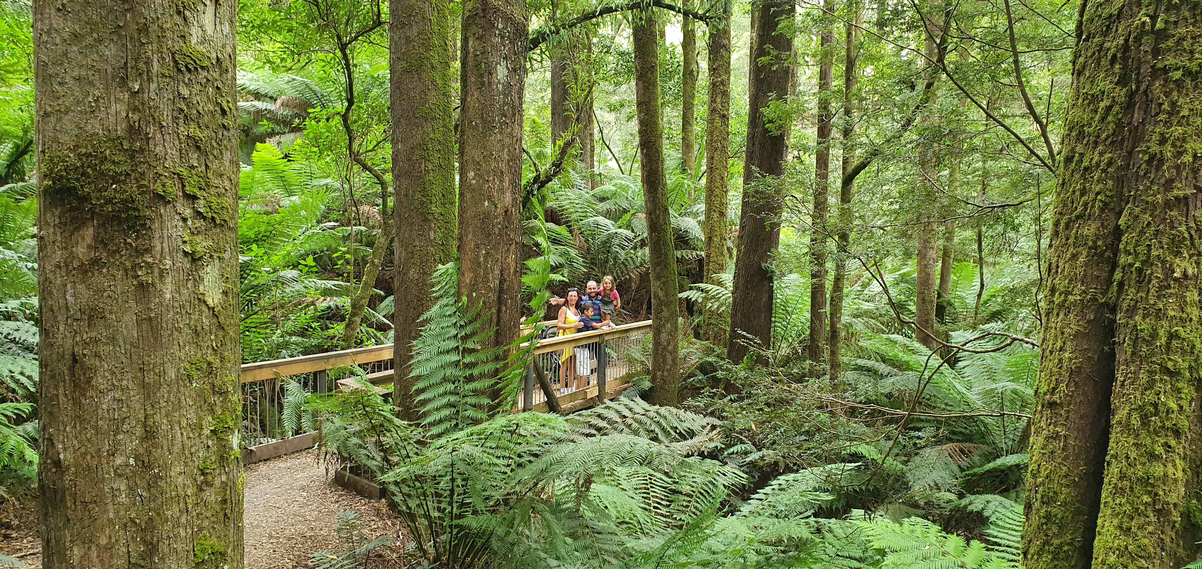 tourhub | Australian Natural Treasures Touring | Two Day Great Ocean Road Nature Experience 